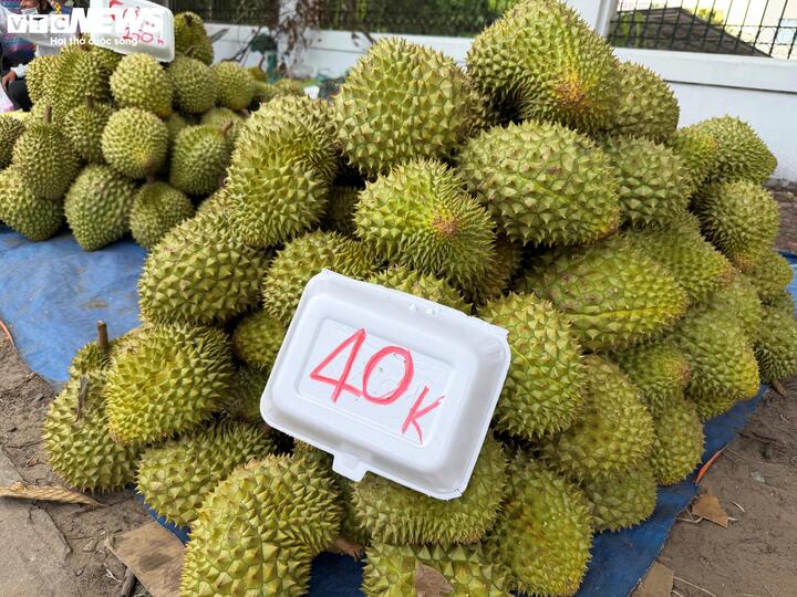Sầu riêng Ri6 giá 40.000 đồng/kg được bày bán khá phổ biến.