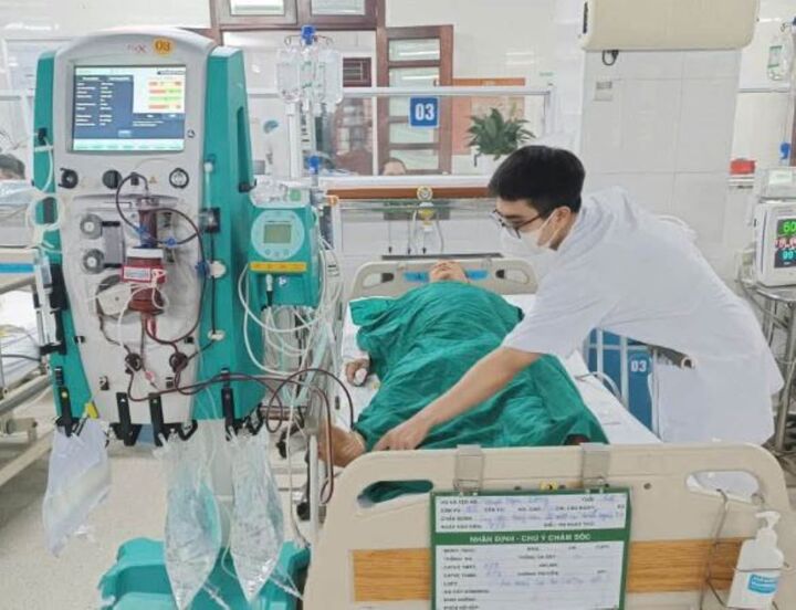 Ăn mật cá trắm để bồi bổ, cụ ông suýt mất mạng phải lọc máu cấp cứu (Ảnh: BVCC)