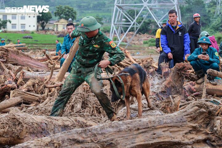 Theo Trung tá Nghĩa, mưa kéo dài cùng địa hình ngổn ngang đá tảng, gốc cây khiến việc đánh hơi và cơ động của chó nghiệp vụ gặp rất nhiều khó khăn, thậm chí phức tạp hơn hiện trường vụ sạt lở Làng Nủ năm 2024. Dù vậy, các lực lượng vẫn kiên trì khoanh vùng, mở rộng phạm vi tìm kiếm với quyết tâm sớm tìm thấy các nạn nhân còn mất tích.