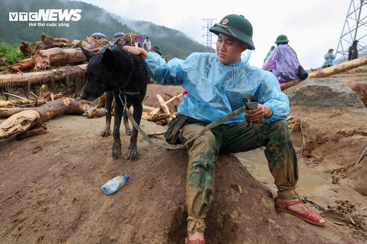 Trung úy Đinh Cao Hồng Nguyên, huấn luyện viên của quân khuyển Javo, cho biết, hiện trường lũ quét rất rộng, lớp bùn đất dày cùng mưa liên tục khiến nguồn hơi bị nước cuốn trôi, làm giảm đáng kể khả năng đánh hơi của chó nghiệp vụ.