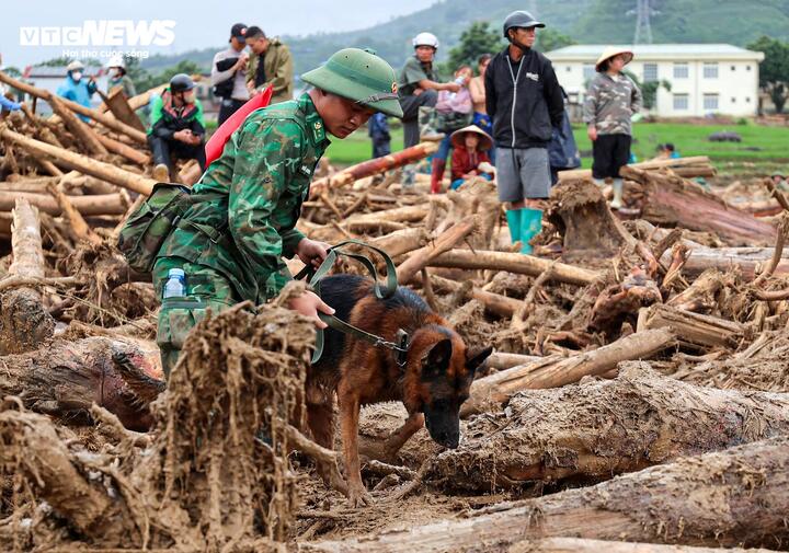 'Chiến binh 4 chân' từng tìm kiếm người ở Làng Nủ, nay vào Mường Than cứu nạn - 5