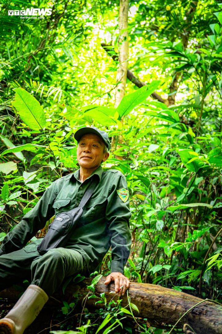 Ông Phùn A Sám - người dân bản Tài Chi, có hàng chục năm gắn bó với cánh rừng già của xã Đường Hoa, tỉnh Quảng Ninh. (Ảnh: Đinh Hùng)