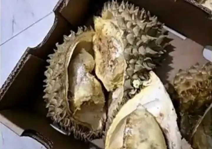 Đơn hàng sầu riêng Mon Thong được Đàm đặt đi đặt lại nhiều lần do có giá trị cao. (Ảnh: WB)