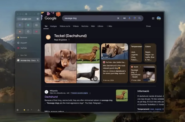 6 trình duyệt miễn phí có thể thay thế Chrome và Safari - 6