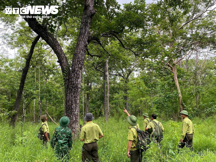 Những cánh rừng bạt ngàn, giáp Campuchia.