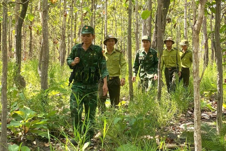 Biên phòng và kiểm lâm tuần tra ở vùng biên giới Buôn Đôn.