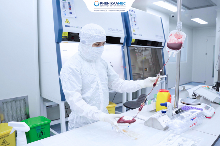 Xử lý máu dây rốn trong phòng Lab đạt chuẩn GMP, ISO 6.