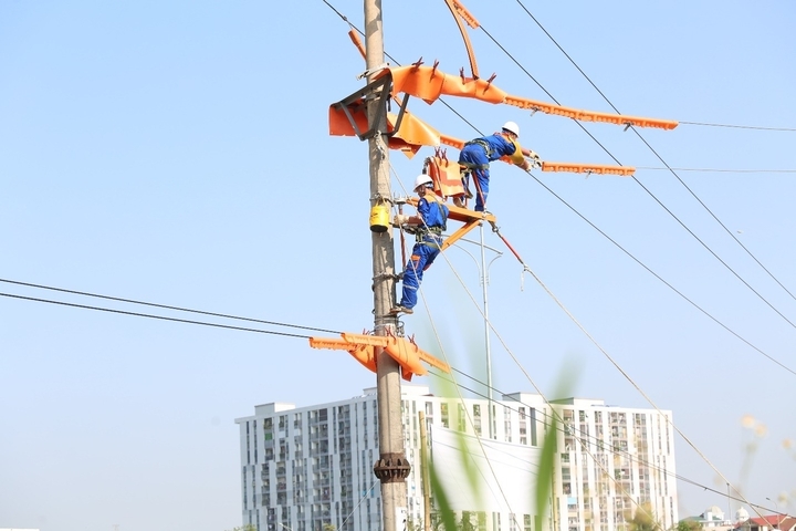 Từ bản lĩnh người thợ hotline đến tầm nhìn quản trị của EVNNPC - 2
