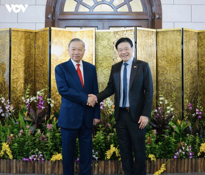 Tổng Bí thư, Chủ tịch nước Tô Lâm và Thủ tướng Singapore Lawrence Wong. (Ảnh: VOV)