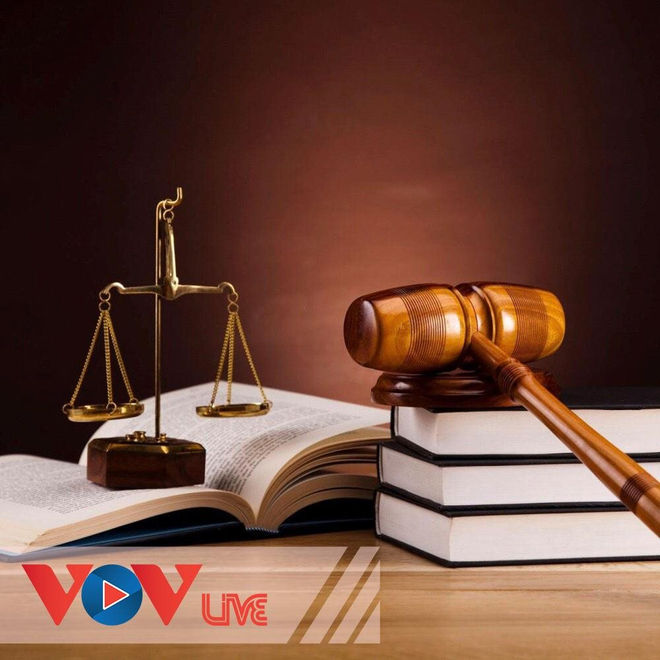 Pháp luật và xã hội