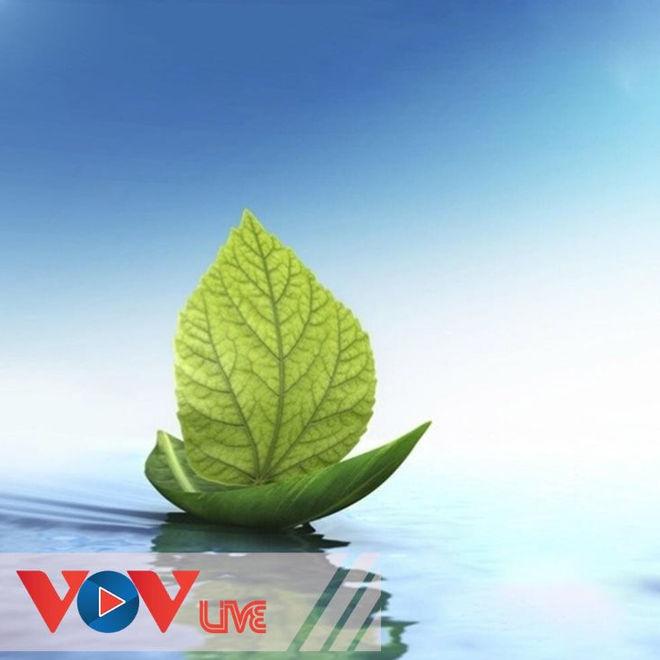 Điểm hẹn văn nghệ