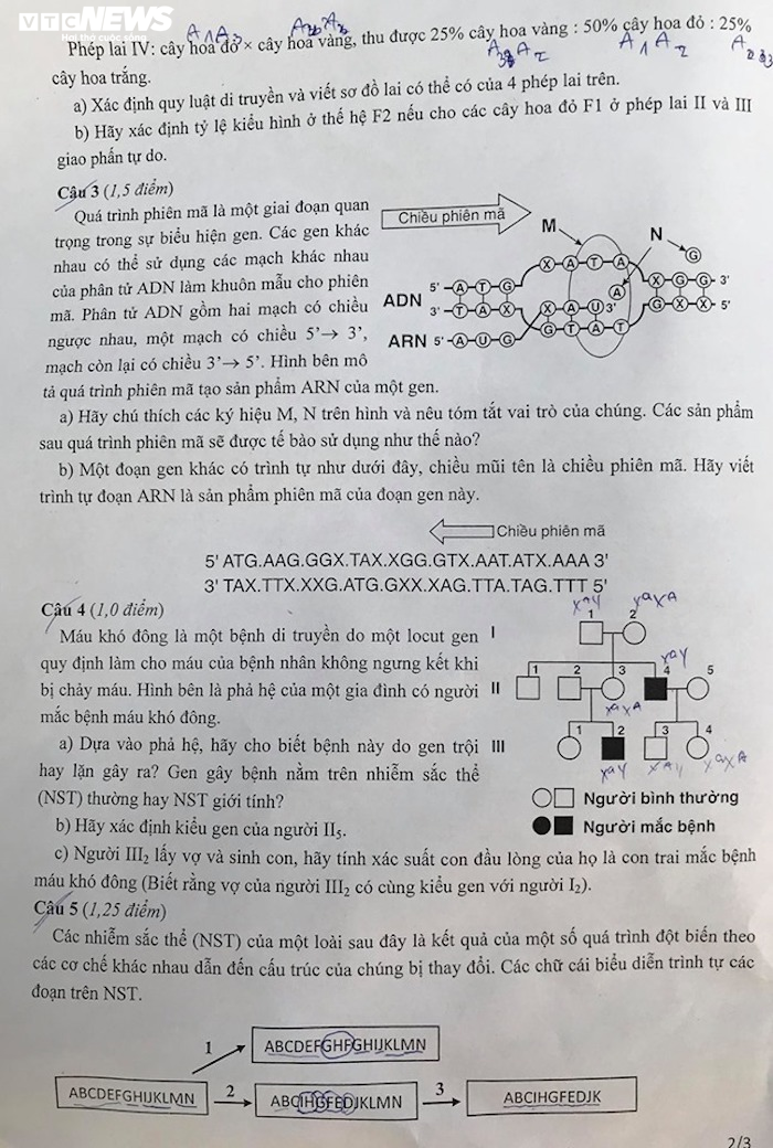 Đề thi Sinh học vào lớp 10 trường THPT chuyên Sư phạm - 2