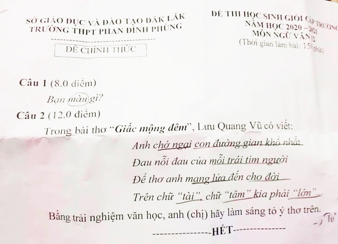 Xôn xao đề Văn chọn học sinh giỏi siêu ngắn 'Bạn màu gì?' - 1