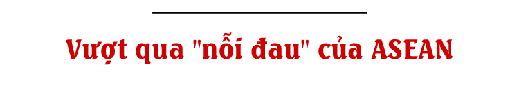 Việt Nam ‘đi học việc’ và những dấu ấn đặc biệt trong ASEAN - 10