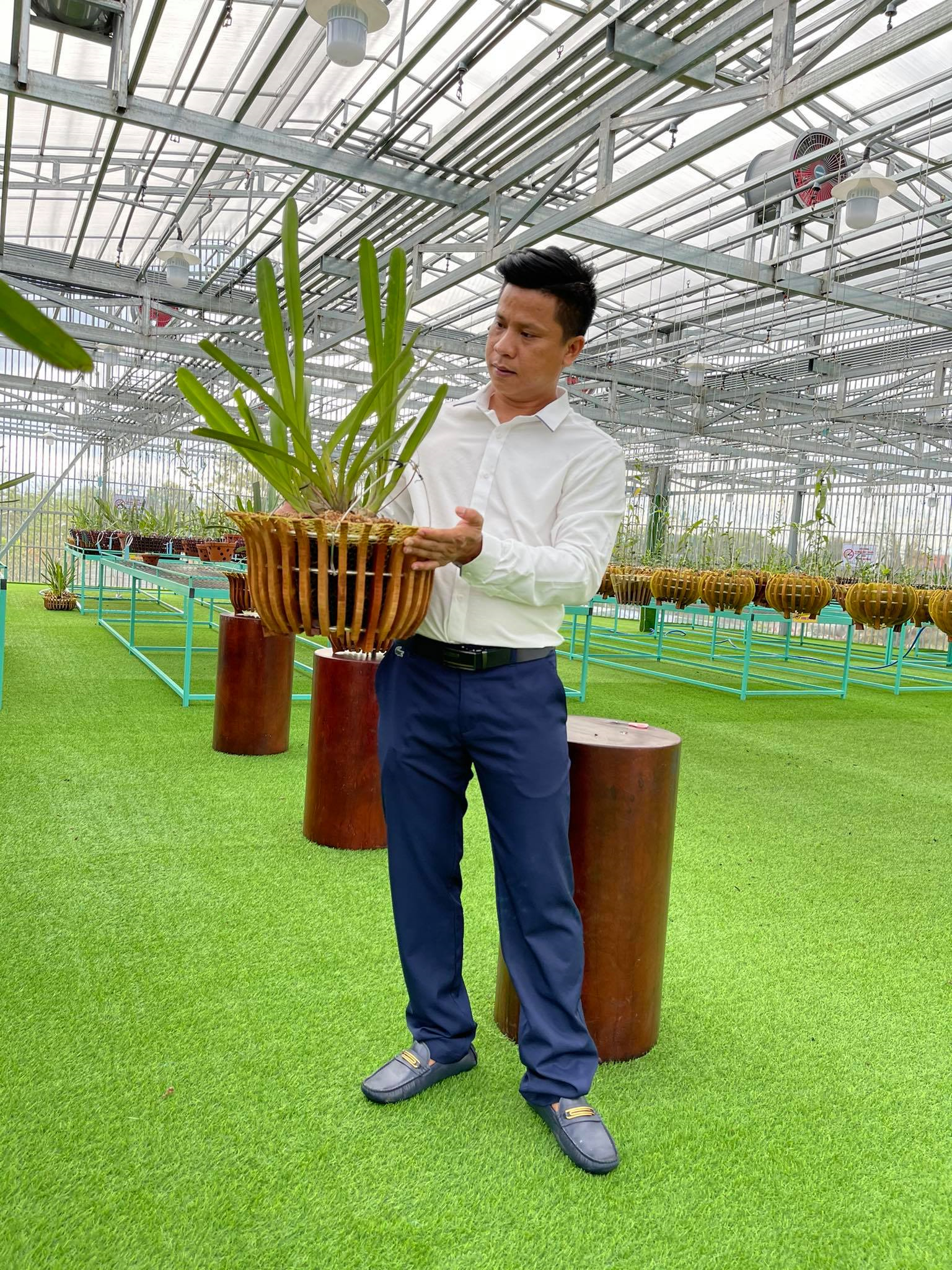 Đâu là giá trị thật của dòng lan đột biến tiền tỷ? - 1