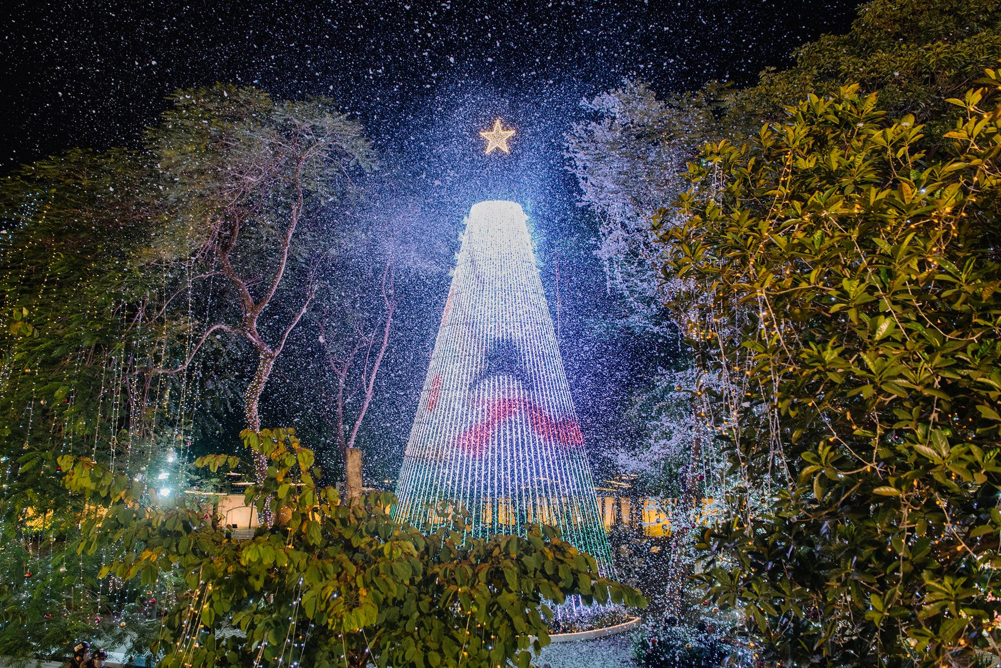 Đón Noel, các trường trang trí cây thông khổng lồ, phun tuyết trắng như trời Tây - 3