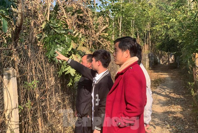 Xây nghĩa trang cạnh trường Đại học Tây Bắc: Bộ GD&ĐT lên tiếng - 1