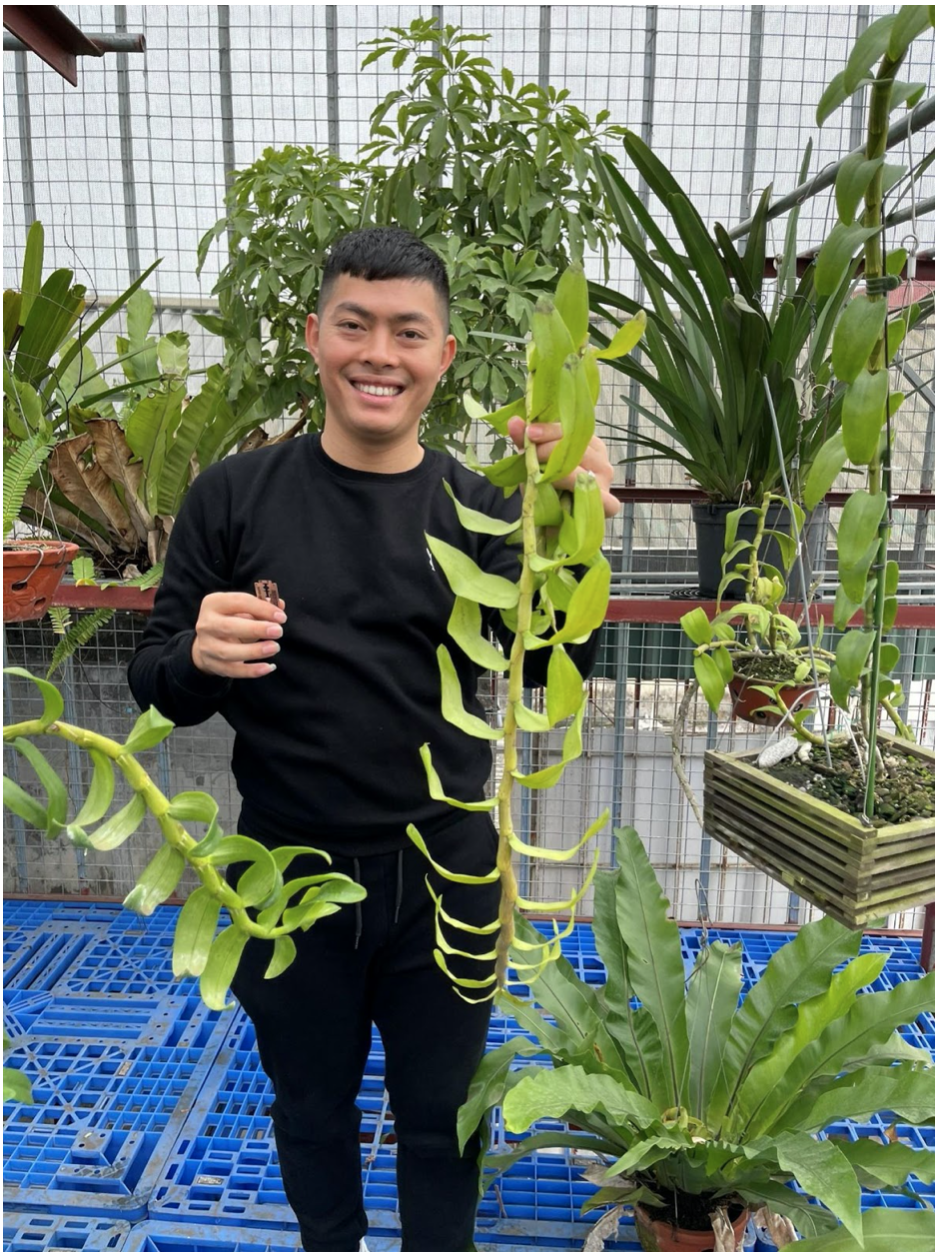 Nghệ nhân hoa Lan Đỗ Ngọc Hà: 'Với tôi hoa lan chính là cuộc sống' - 5