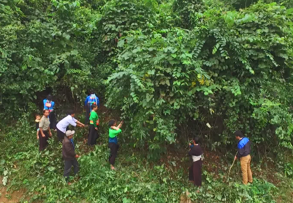 Những bản làng phía Tây ở Thanh Hoá rũ bỏ 'bão trắng', lá ngón để hồi sinh - 2