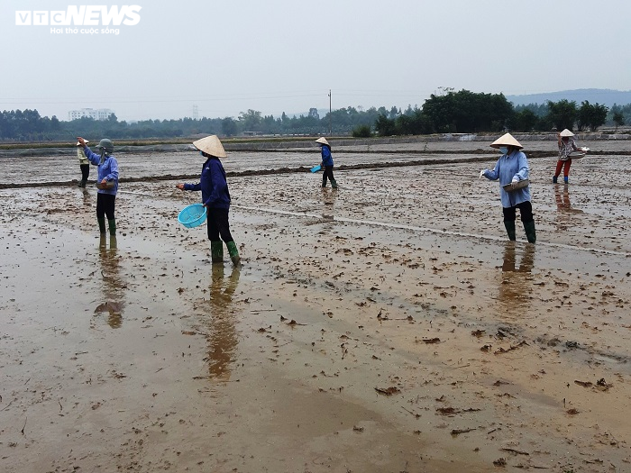 Tình làng, nghĩa xóm trong tâm dịch Chí Linh - 4
