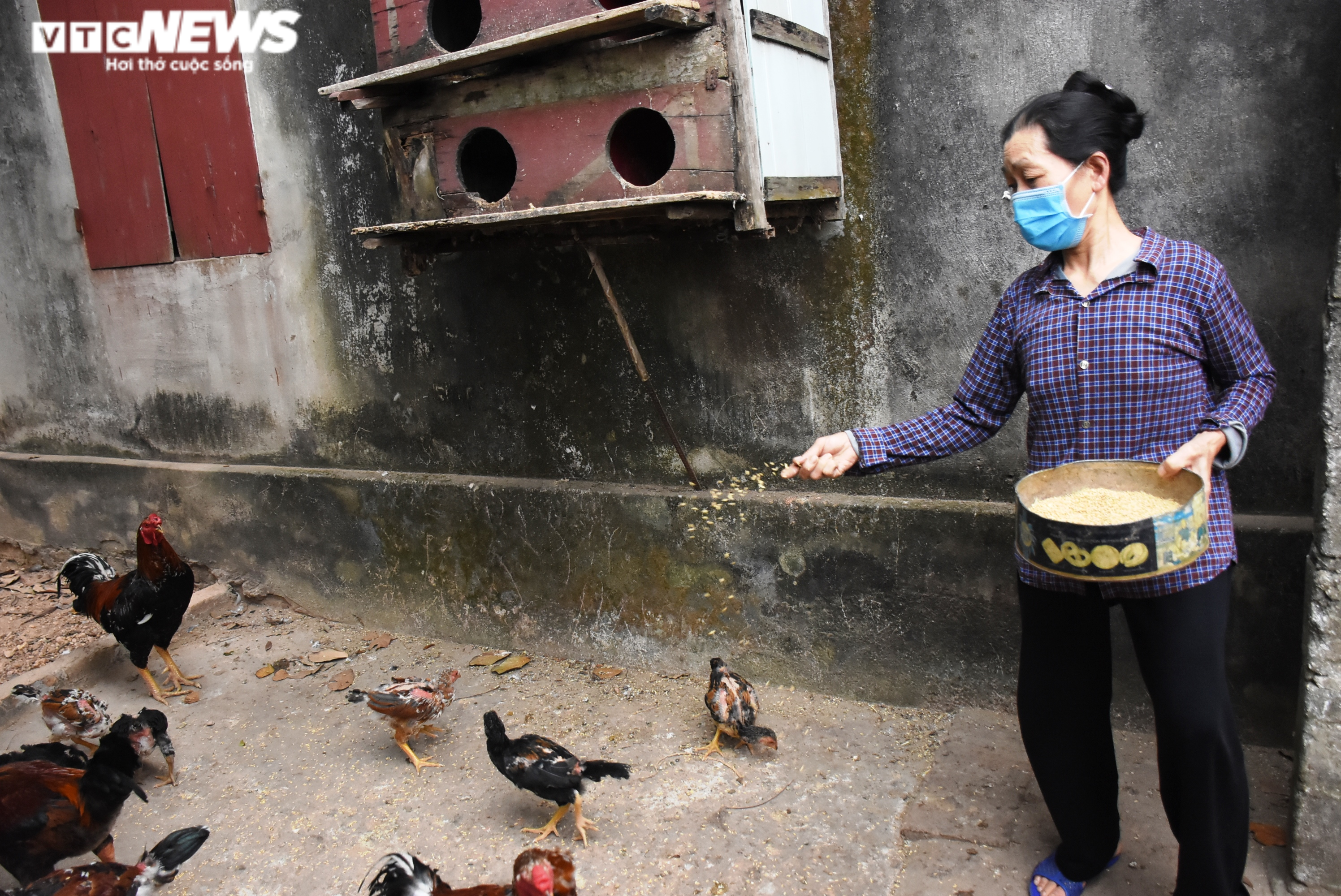 Tình làng, nghĩa xóm trong tâm dịch Chí Linh - 2