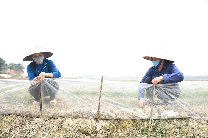 Tình làng, nghĩa xóm trong tâm dịch Chí Linh - 6