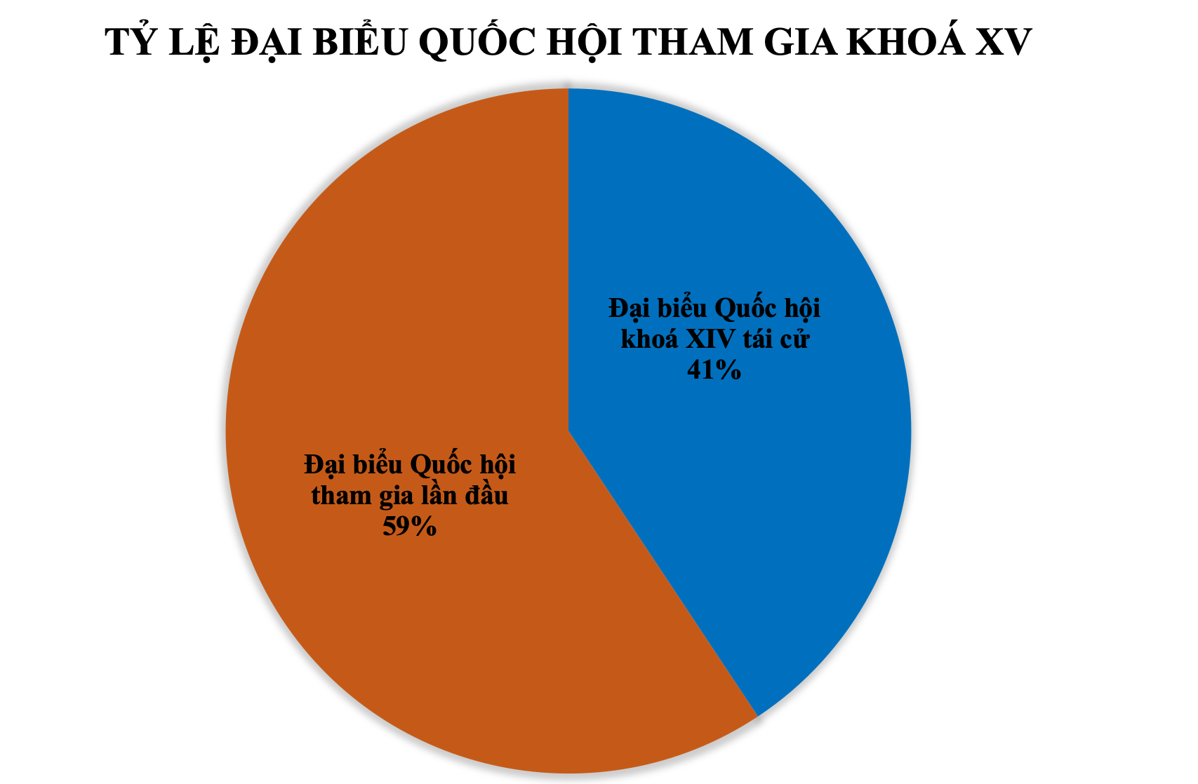 Chi tiết cơ cấu đại biểu Quốc hội khoá XV - 4