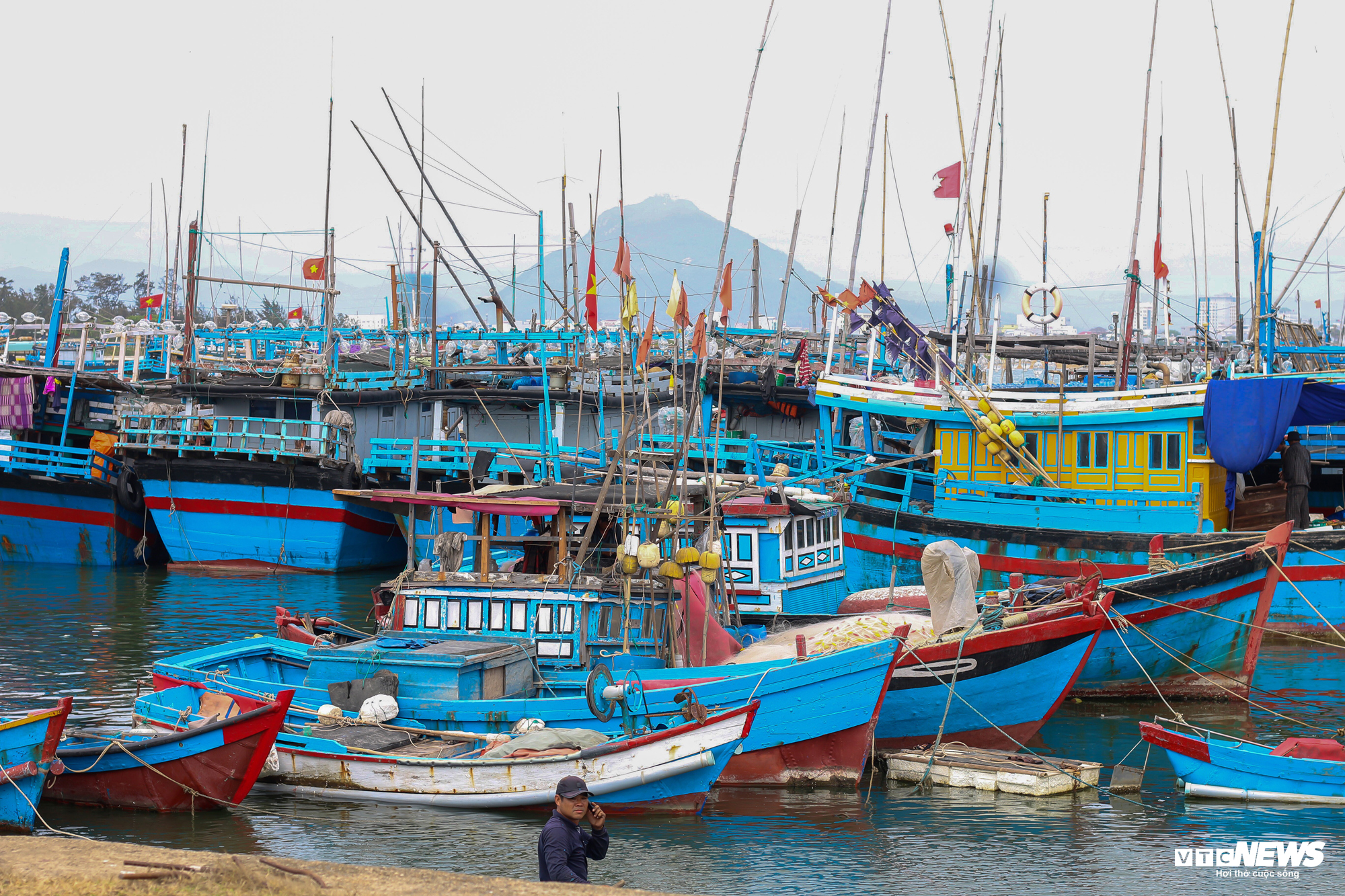 Nỗi buồn của ngư phủ nơi khai sinh nghề câu cá ngừ đại dương ở Việt Nam - 6