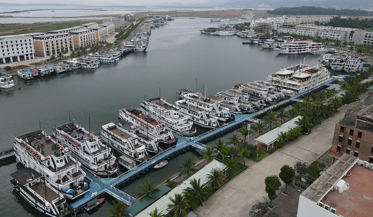 Doanh nghiệp thoi thóp chờ chết, ngân hàng vẫn lạnh lùng thu lãi cao - 4