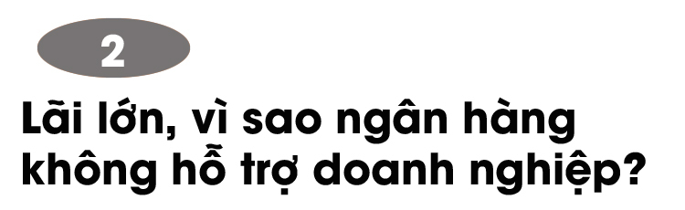 Doanh nghiệp thoi thóp chờ chết, ngân hàng vẫn lạnh lùng thu lãi cao - 5