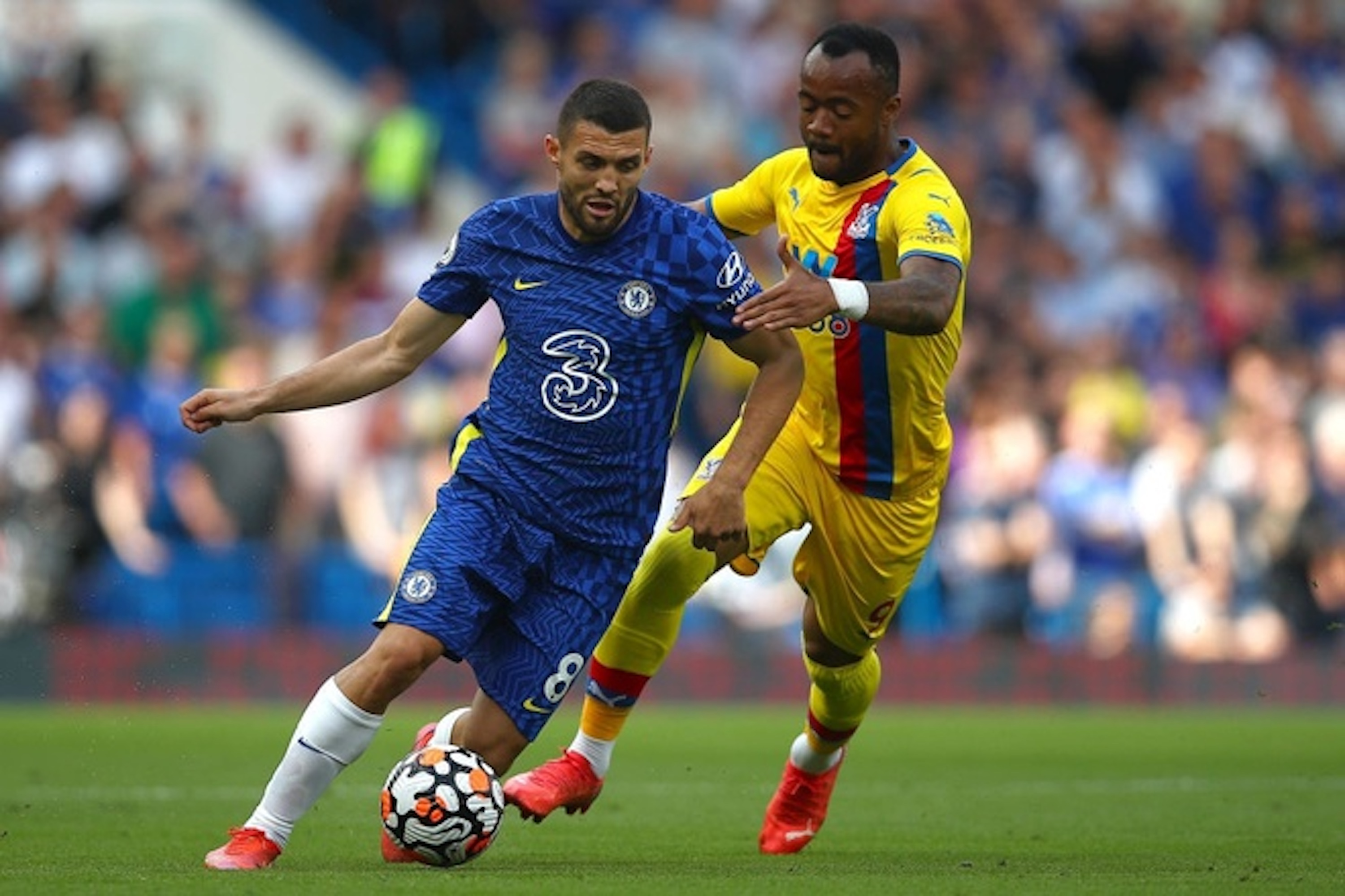 Kovacic mờ nhạt.