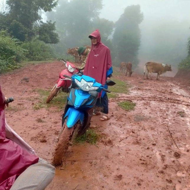 Thầy cô lội bùn lầy, vượt hàng chục km vào bản gọi học sinh đến lớp - 1