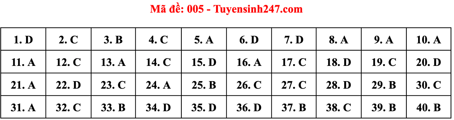 Gợi ý đáp án 24 mã đề tiếng Anh thi vào lớp 10 Hà Nội - 5