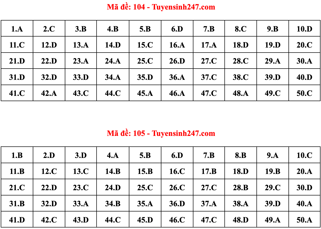 Gợi ý đáp án 24 mã đề Toán thi tốt nghiệp THPT 2022 - 2