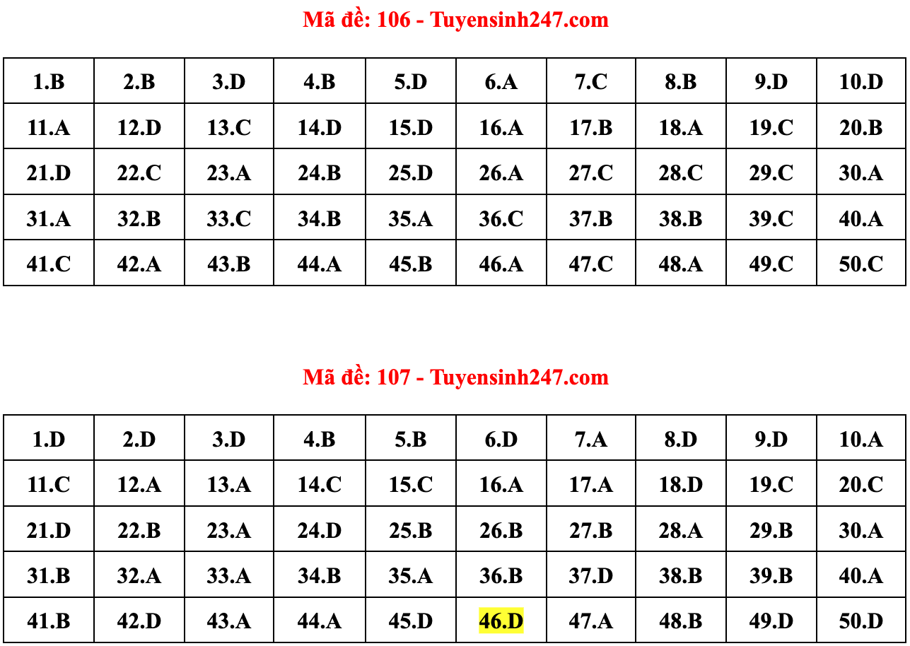 Gợi ý đáp án 24 mã đề Toán thi tốt nghiệp THPT 2022 - 3