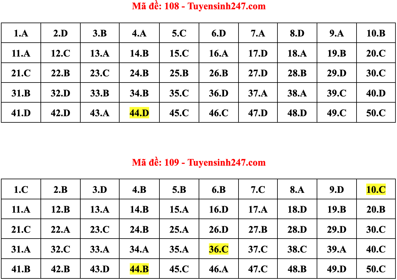 Gợi ý đáp án 24 mã đề Toán thi tốt nghiệp THPT 2022 - 4