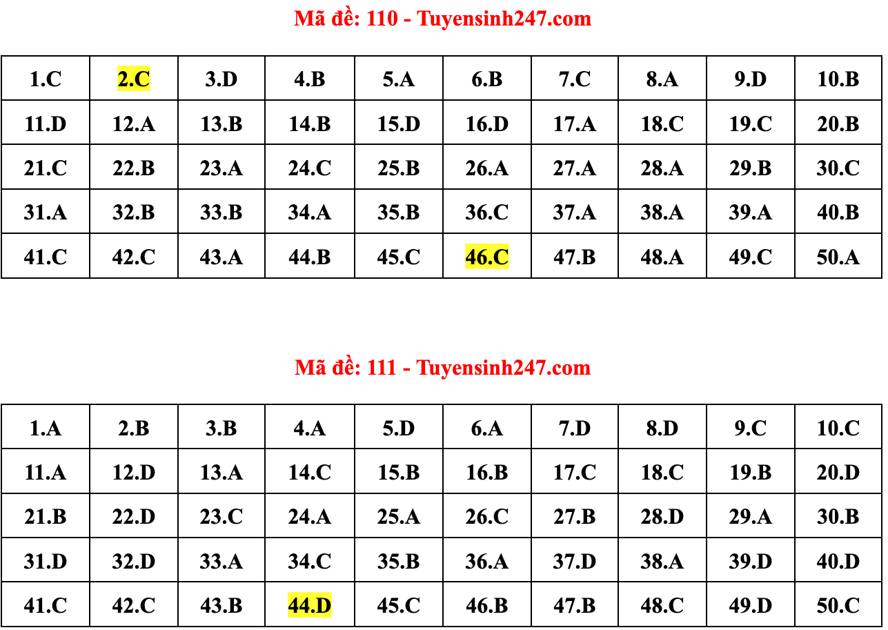 Gợi ý đáp án 24 mã đề Toán thi tốt nghiệp THPT 2022 - 5