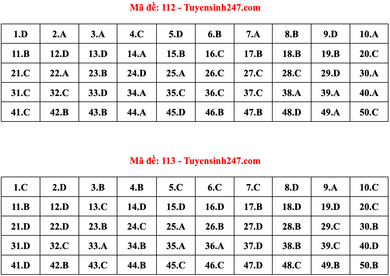 Gợi ý đáp án 24 mã đề Toán thi tốt nghiệp THPT 2022 - 6