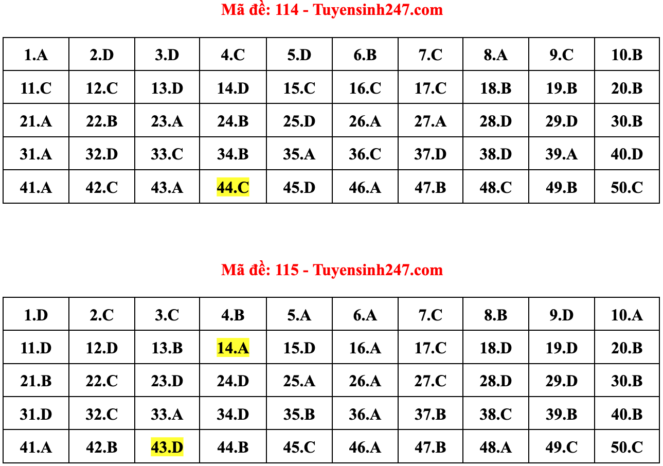Gợi ý đáp án 24 mã đề Toán thi tốt nghiệp THPT 2022 - 7