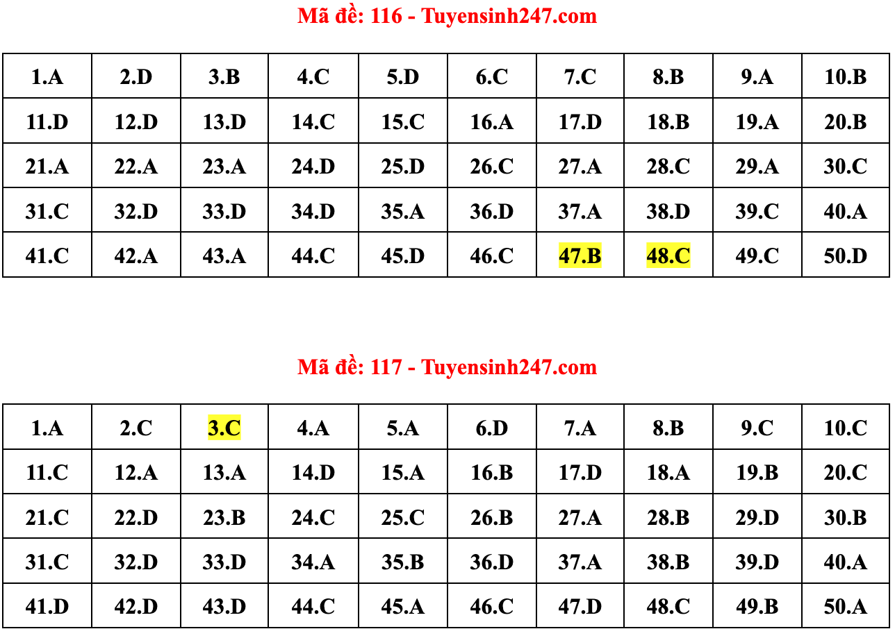 Gợi ý đáp án 24 mã đề Toán thi tốt nghiệp THPT 2022 - 8