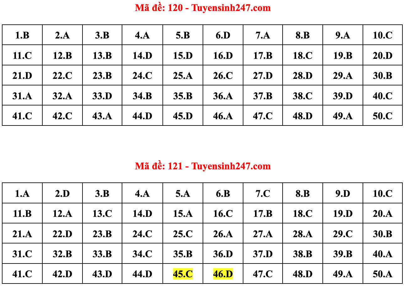 Gợi ý đáp án 24 mã đề Toán thi tốt nghiệp THPT 2022 - 10