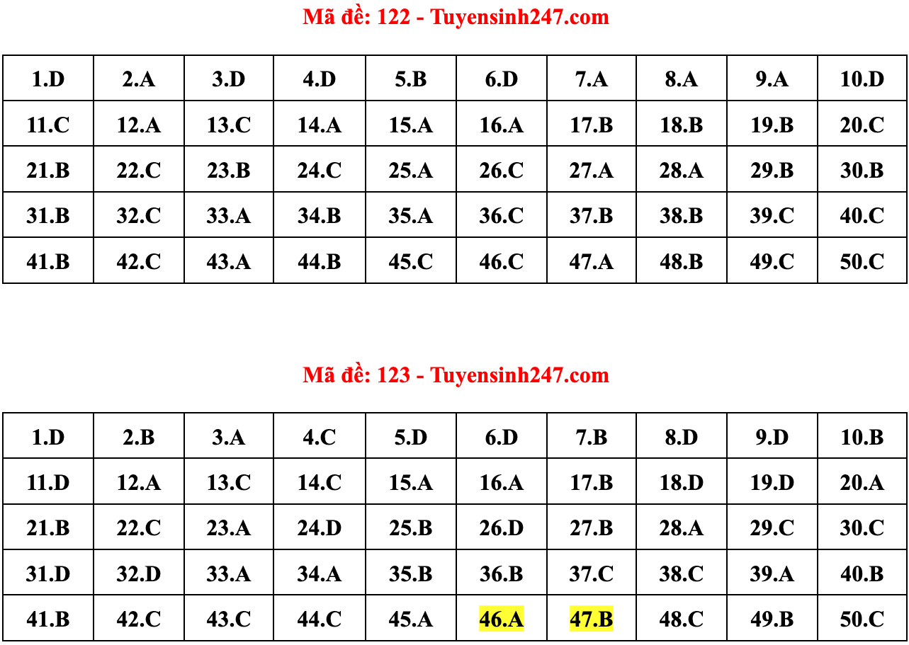 Gợi ý đáp án 24 mã đề Toán thi tốt nghiệp THPT 2022 - 11