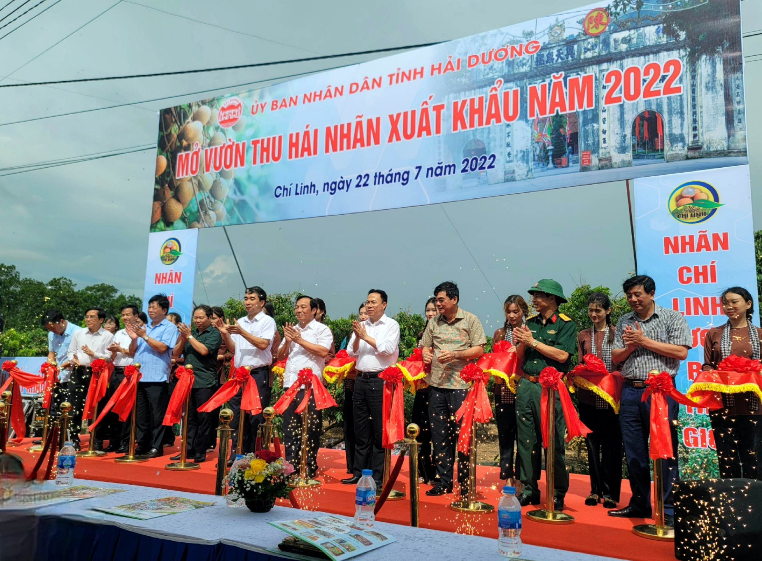 Hải Dương: Mở vườn thu hái nhãn xuất khẩu đi Châu Âu năm 2022 - 2