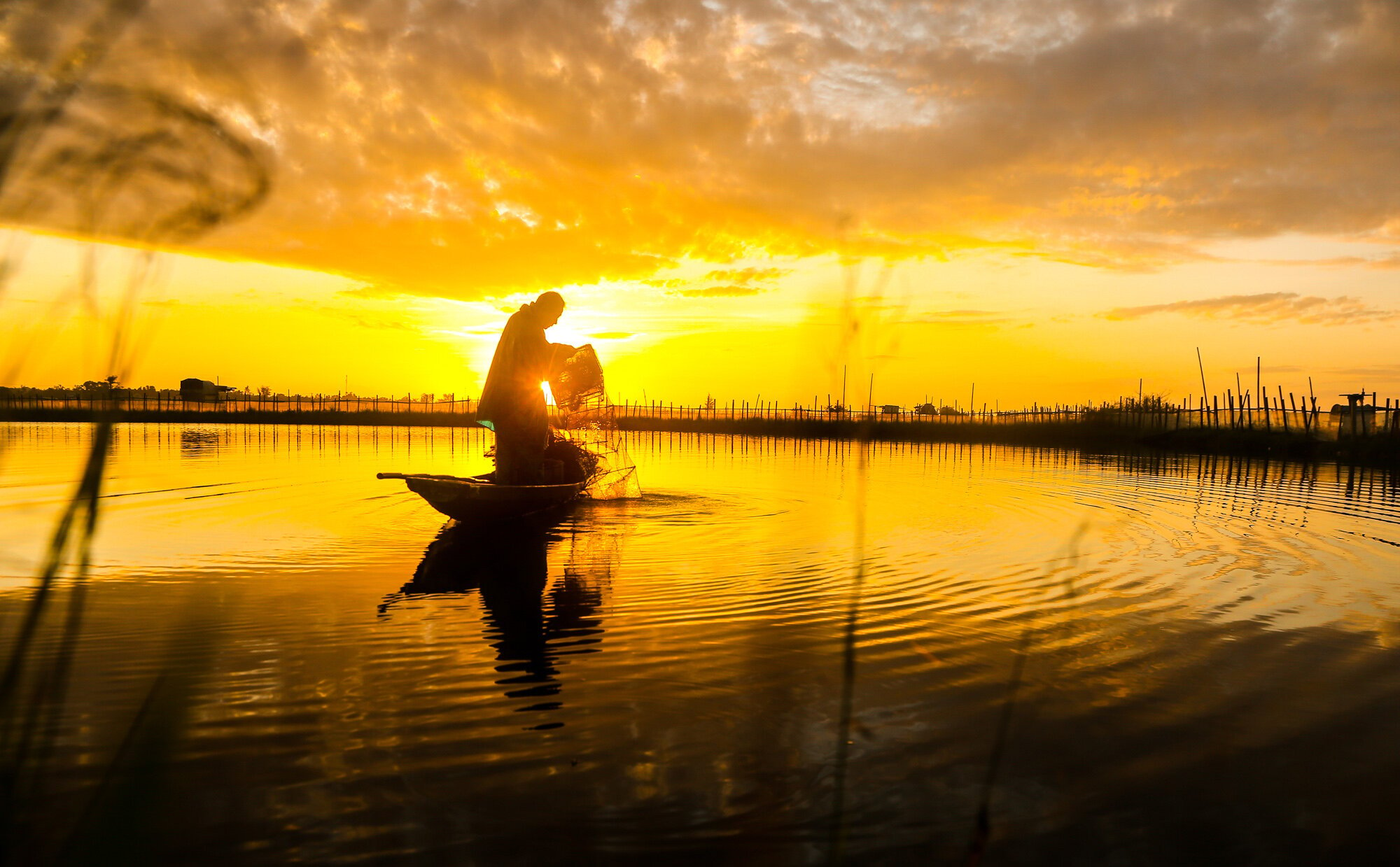 Hãy đón bình minh cùng Tam Giang, một trong những khu vực hữu tình và lãng mạn nhất miền Trung đấy! Với những ánh nắng coi ái mờ len lên trên con sông êm đềm và những cánh đồng lúa bạt ngàn, Tam Giang sẽ là mối đầu tư tuyệt vời cho những buổi sáng đẹp nhất của bạn.