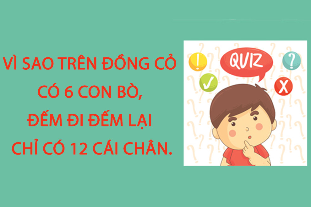 Câu đố khó: Vì sao trên đồng cỏ có 6 con bò, đếm đi đếm lại chỉ 12 cái chân? - 1