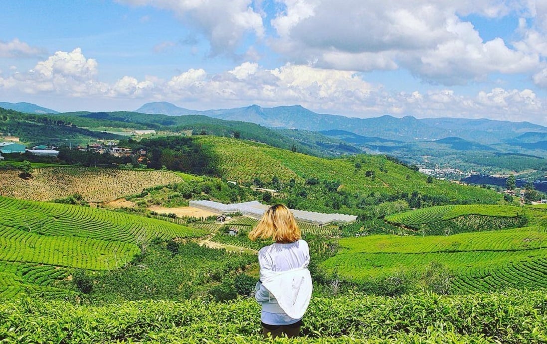 'Bỏ túi' 7 điểm check-in đẹp hút hồn ở Đà Lạt - 6