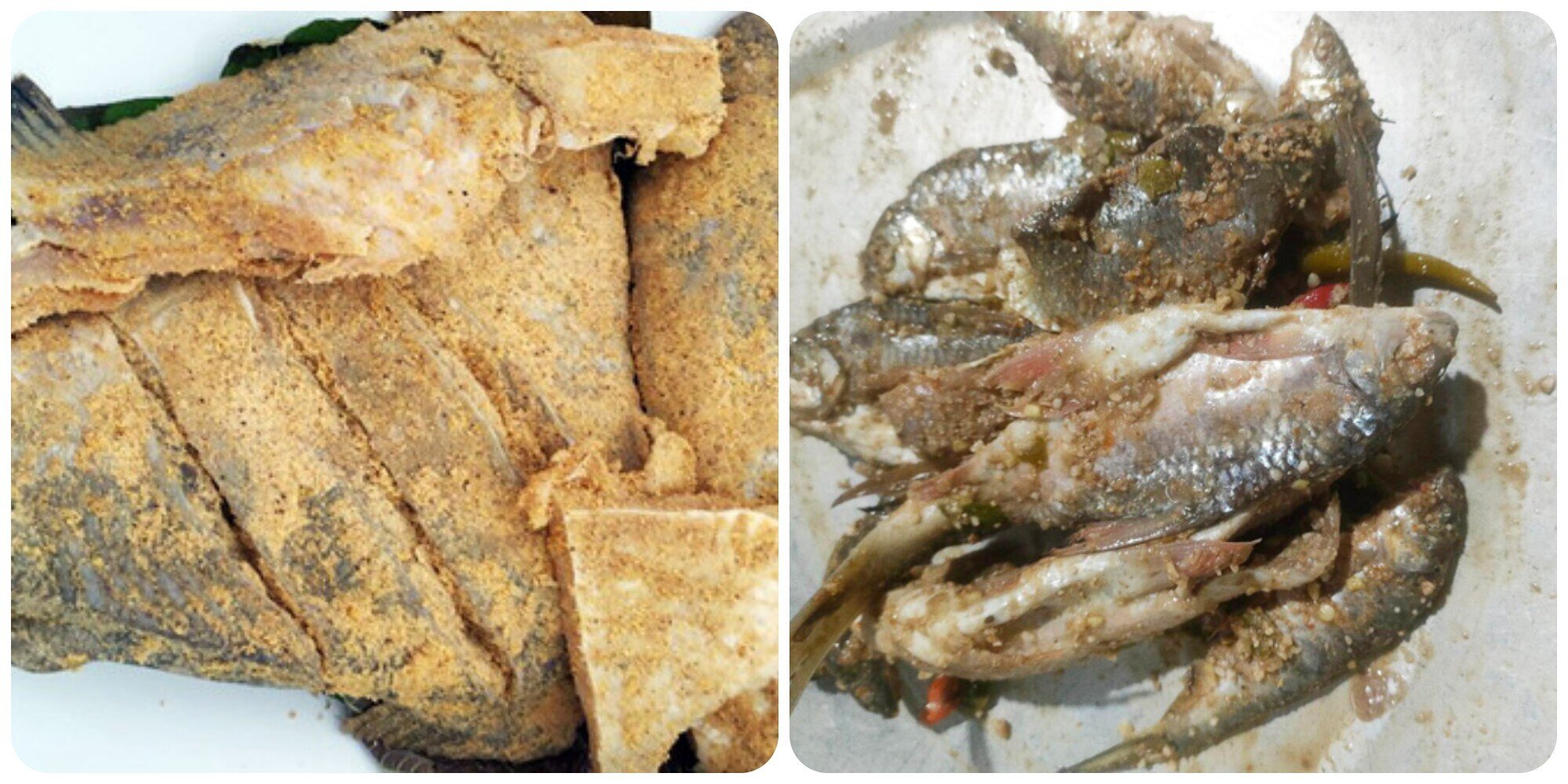 Vì sao món cá chép muối ủ chua lại gây ngộ độc? - 1