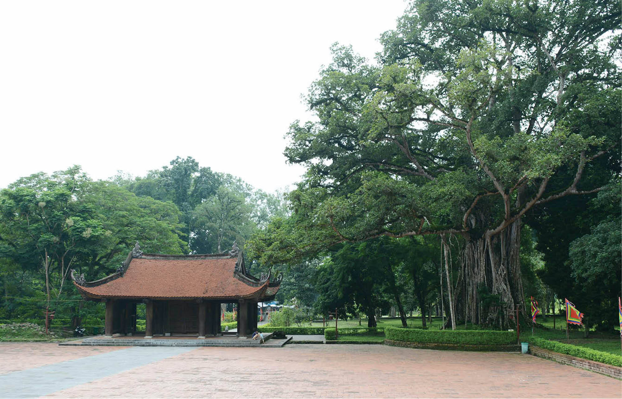 Ai là thái hậu tàn độc nhất sử Việt, chủ mưu giết vua, nhận kết cục bi thảm? - 7