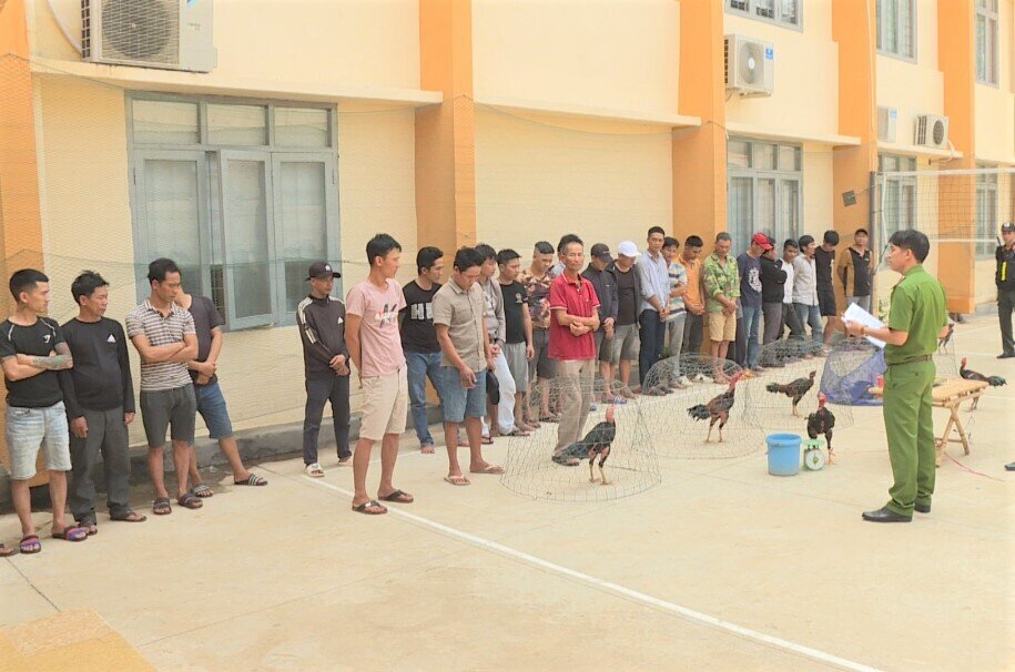 Triệt phá trường gà quy mô lớn ở Đắk Lắk, bắt giữ 34 'con bạc'  - 1