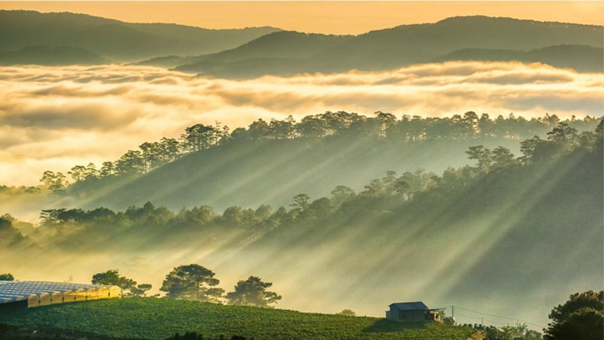 Đi du lịch đâu để săn mây ở Đà Lạt? - 3